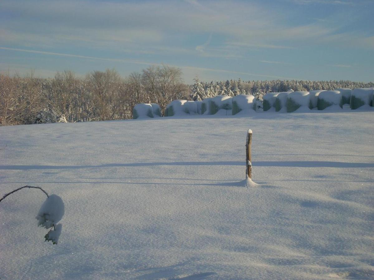 Location Vacances Des 4 Vents Girmont-Val-dʼAjol Exteriör bild